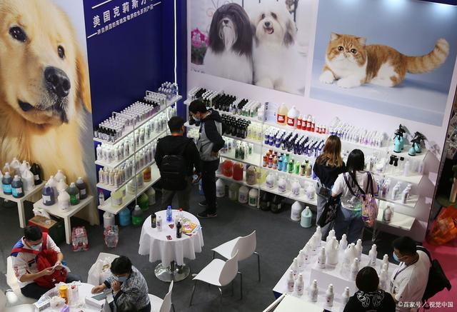 2024中國(寧波)國際寵物用品博覽會 聚焦人寵和諧，引領行業新風尚
