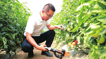 濟南章丘 電商為鄉村振興插上數字翅膀